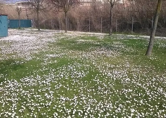 酒店 罗萨蒂酒店 3*