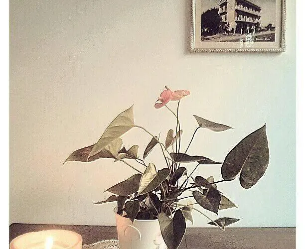 酒店 罗萨蒂酒店 3*