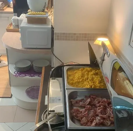 酒店 罗萨蒂酒店 里米尼