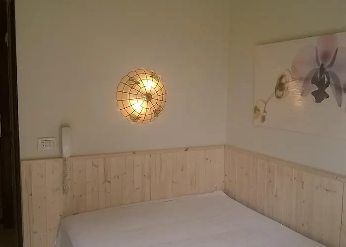 罗萨蒂酒店 3* 里米尼