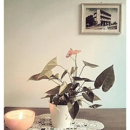 Ξενοδοχείο Rosati 3*